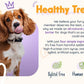 BUDDY BUDDER, Ruff Ruff Raw, Natural Dog Peanut Butter, Dog TreatMade in USA, (17 oz Jars)