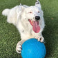 Jolly Pets Large Soccer Ball Floating-Bouncing Dog Toy, 8 inch Diameter, Ocean Blue