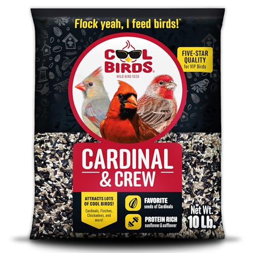 Cardinal & Crew Wild Bird Seed – 10 lb. Black Oil Sunflower, Sunflower Hearts & Safflower Blend for Cardinals, Grosbeaks & Chickadees – Bird Food for Outside Feeders