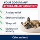 Advanced Calming Chews for Dogs - Hemp Chews and Melatonin - Anxiety Relief - Sleep Aid - Relaxing Treats - Stress Relief During Fireworks, Storms