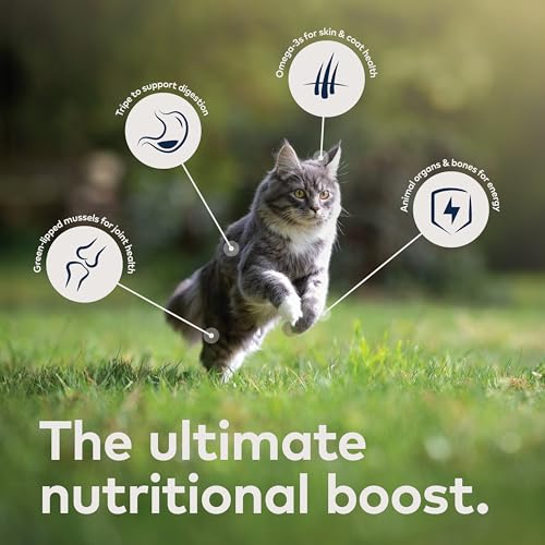 ZIWI Peak Canned Wet Cat Food – All Natural, High Protein, Grain Free, Limited Ingredient, with Superfoods (Rabbit & Lamb, 12-pack of 6.5oz Cans)