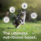 ZIWI Peak Wet Cat Food – All Natural, High Protein, Grain Free, Limited Ingredient, with Superfoods (Rabbit & Lamb, Case of 6, 3oz Cans)
