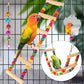 Bird Toys for Parakeets, Parrots, Conures, Cockatiels, Love Birds, Finches, Mynah, Budgerigar - 9Pcs Wooden Ladder Bridge, Swing, Hammock, Cage Accessories
