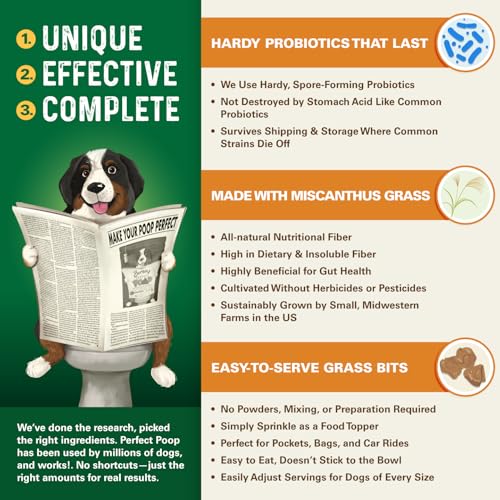Perfect Poop Digestion & General Health Supplement for Dogs: Fiber, Prebiotics, Probiotics & Enzymes Relieve Digestive Conditions, Optimize Stool, and Improve Health (Cheddar Cheese, 4.2 oz)
