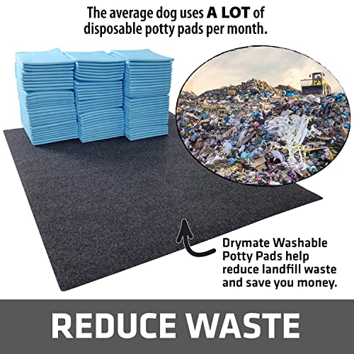 Drymate 2-Pack Washable Pee Pads for Dogs (29x36), Waterproof, Absorbent, Slip-Resistant, Reusable Pet Training Potty Puppy Mats, Housebreaking, Incontinence Bed Pads, Crate, Kennel (USA Made)