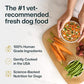 JustFoodForDogs Frozen Fresh Dog Food, Complete Meal or Topper, Beef & Russet Potato Human Grade Recipe, 18 oz (Pack of 7)