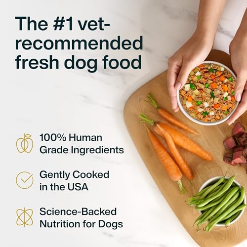 JustFoodForDogs Frozen Fresh Dog Food, Complete Meal or Topper, Beef & Russet Potato Human Grade Recipe, 18 oz (Pack of 7)