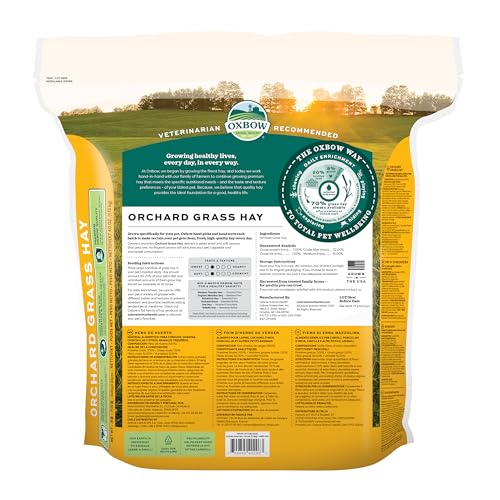 Oxbow Orchard Grass Hay for Small Pets – All-Natural Long Strand Fiber Hay for Rabbits, Guinea Pigs, Chinchillas, and Hamsters – Supports Digestive Health and Enrichment – 40 oz Bag