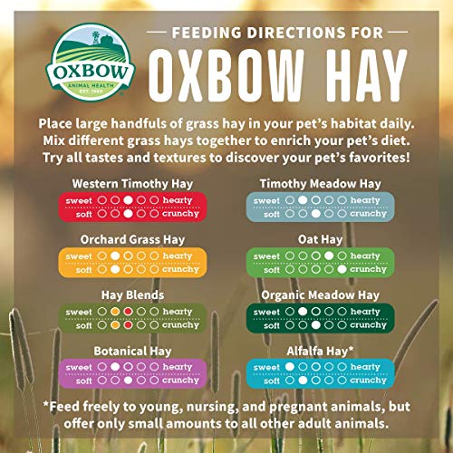 Oxbow Organic Meadow Hay, Guinea Pig & Rabbit Hay, Small Pet Bunny Supplies, All Natural Grass for Guinea Pig, Bunny, Chinchilla & Hamster, Rabbit Supplies for Bunnies, 40 oz Bag
