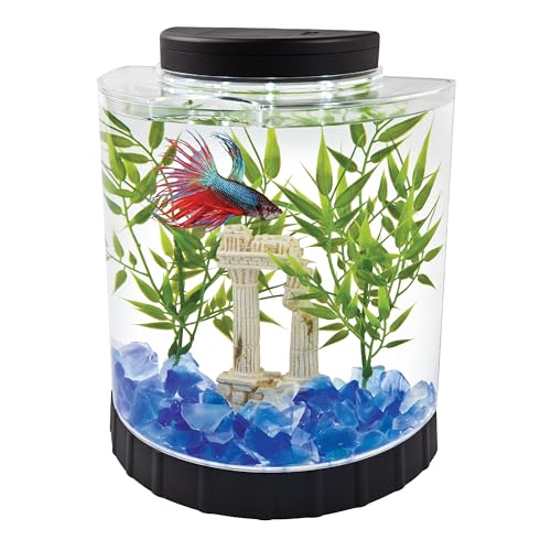 Tetra LED Half Moon Aquarium Kit, 1.1 Gallons, Small, Clear Plastic Fish Tank With Curved Front, Easy Feeding And Movable, Energy-Efficient LEDs Ideal For Bettas Great As Desk Aquarium
