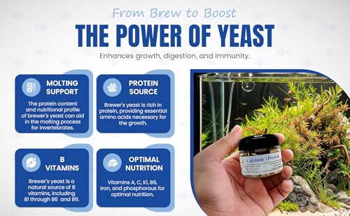 Calcium + Protein, for Strong Shells, Healthy Molts, 100% Natural, Does Not Dissolve in Water, Fast Sinking for Aquatic Shrimp, Snails, Plecos and More! Biologist Made in USA