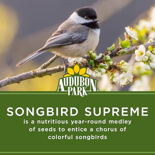 Audubon Park Songbird Supreme Wild Bird Seed for Outside Feeders, 15-lb. Bag