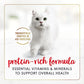 Purina Fancy Feast Tender Beef and Chicken Feast Classic Grain Free Wet Cat Food Pate - (Pack of 24) 3 oz. Cans