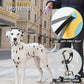 JSXD 360° Tangle-Free Retractable Dog Leash with One-Handed Brake, Pause, Lock, 10 ft Strong Nylon Tape Pet Walking Leash,Suitable for Cats, Small