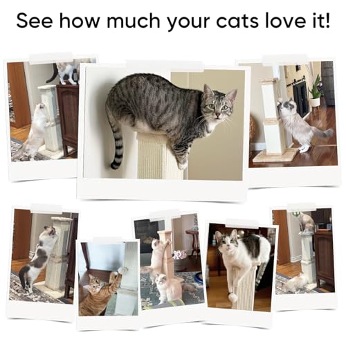 AGYM Cat Scratching Post for Large Cats, Cat Scratcher for Indoor Cats Adults, Sturdy Sisal Scratch Post to Protect Furniture, 32 Inch, Beige