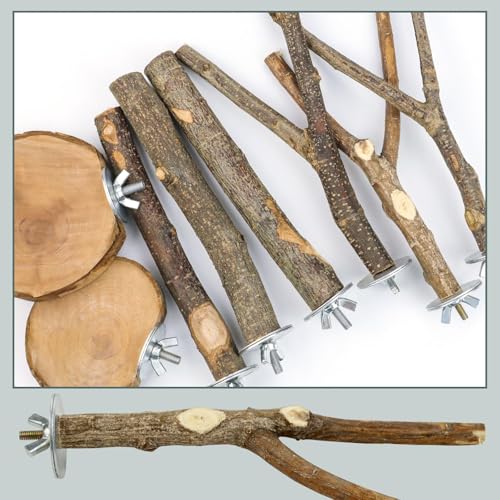 8 PCS Bird Perch Set for Cage - Natural Apple Wood Platforms & Hardwood Branches for Parakeets, Budgies, Cockatiels - Small Bird Habitat Gym, Climbing Stand & Safe Chew Toys