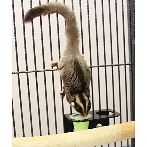 Nectar Pods Holder - Durable Cage Accessory for Nectar Pods - Sugar Gliders, Marmosets, Squirrels, Parrots, Cockatiels, Parakeets, Lovebirds, Birds, Hamsters, Day Geckos, Kinkajous & Other Small Pets
