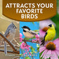 Morning Song Sunflower Hearts & Chips Wild Bird Food, No Mess Sunflower Seeds for Birds, 5.5-Pound Bag