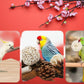 Bird Toys Bird Foraging Shredding Chewing Parrot Foraging Shredding Toys Chewing Toy Birdcage Accessories for Conures Caiques Cockatiel Budgies Parakeet and Small to Medium Birds