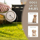OUTnWILD Retractable Dog Leash - Tangle-Free 360° Design with Anti-Slip Handle | 16 ft Strong Nylon Tape | One Touch Quick-Lock Braking System | for