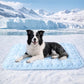 Luciphia Premium Dog Cooling Mat Non-Slip Q-MAX>0.5 Self-Cooling Pad for Small Pet Cat Indoor Portable Kennel Puppy Bed for Summer Crate Pad for Dog