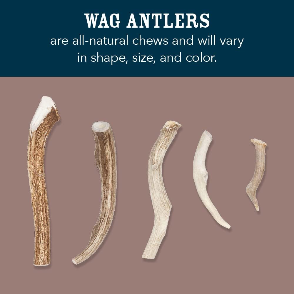 Wag Dog Deer Antler Chew, Naturally Shed, Whole, 9 - 10.5 inches, Long Lasting for Aggressive Chewers, X-Large, Best for Dogs over 45 lbs