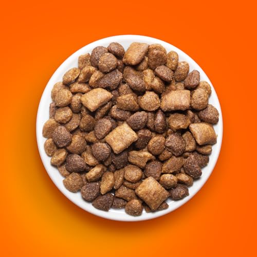 IAMS Healthy Enjoyment Dry Cat Food Chicken & Salmon Recipe, 3 lb. Bag