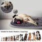 Rundik Snuffle Mat for Dogs, 17'' x 21'' Dog Sniffing Interactive Feeding Game Boredom, Puzzle Toys Encourages Natural Foraging Skills and Stress Relief Small/Medium/Large Dogs