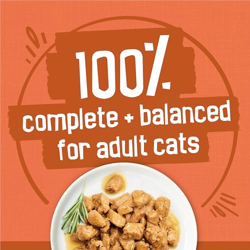 Purina Friskies Wet Cat Food Gravy Variety Pack, TurChicken Extra Gravy Chunky, Meaty Bits and  Filets - (Pack of 40) 5.5 oz. Cans
