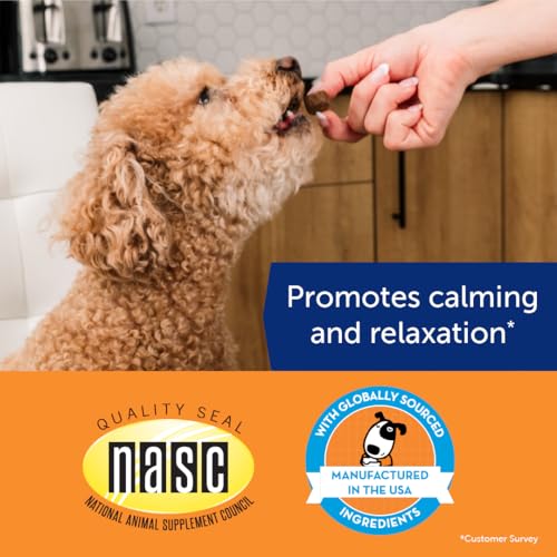 ThunderBites Hemp Calming Chews for Dogs, Everyday Use Can Help Relieve Stress from Separation, Storms, Fireworks & Travel (60 Count), Formerly