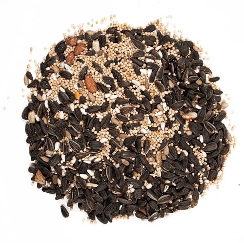 Wagner's 62042 Songbird Supreme Blend Wild Bird Food, 8-Pound Bag