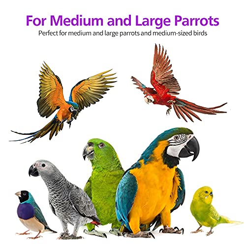 RUBY.Q Large Parrot Toy, 20in Bird Parrot Toy, Multicolored Natural Wooden Bird Chewing Toys for Large Macaws, African Grey and a Variety of  Parrots