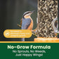 Happy Wings No Grow Bird Seed Mix 5lb - Songbird Bird Seed with Sunflower, Safflower & Peanuts - No Mess Birdseed for Outside Feeders - Suitable Birdseed for Wild Birds