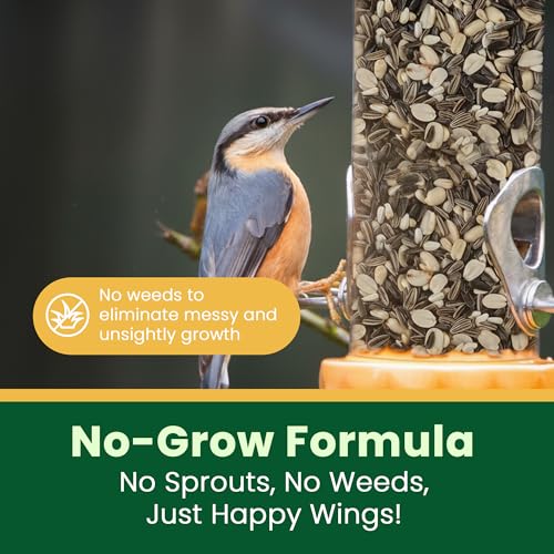 Happy Wings No Grow Bird Seed Mix 5lb - Songbird Bird Seed with Sunflower, Safflower & Peanuts - No Mess Birdseed for Outside Feeders - Suitable Birdseed for Wild Birds