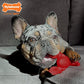 Nylabone Lobster Power Chew Toy for Dogs, Dog Toys for Aggressive Chewers, Filet Mignon Flavor, Small Dogs - Up to 25 Ibs, 1 Count