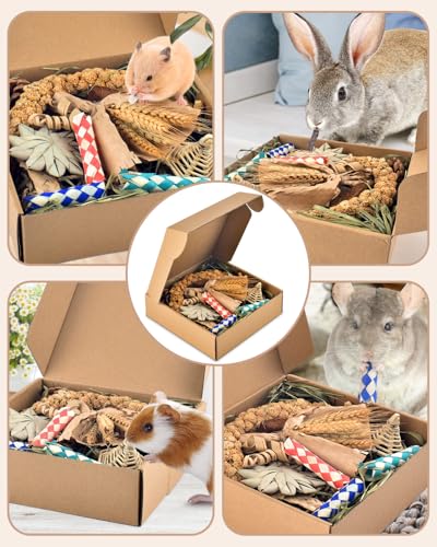Bissap Rabbit Chew Toy, Natural Bunny Treats Snacks with Timothy Hay Water Grass Mat Coconut Husk Box for Guinea Pigs Chinchillas Hamsters Gerbils and Other Small Pets Teeth Grinding