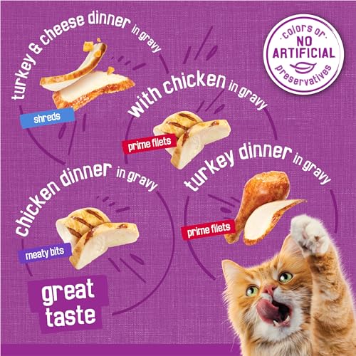 Purina Friskies Gravy Wet Cat Food Variety Pack, Poultry Shreds, Meaty Bits and  Filets - (Pack of 32) 5.5 oz. Cans