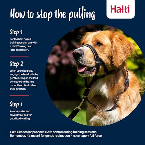 Halti Headcollar - Stop Your Dog Pulling on the Leash. Adjustable, Reflective and Lightweight, with Padded Nose Band. Dog Training Anti-Pull Collar