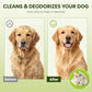 Hypoallergenic Pet Wipes for Dogs & Cats – Quick Clean & Deodorize Paws, Butt, Eyes, Ears, Face & Fur | Daily Grooming After Walks and Between Baths | Extra Large & Thick | Coconut Scented, 400 Count
