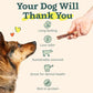 WOOF Bully Sticks Dog Treats - Chew Sticks for Dogs - Long-Lasting Dog Chew Treats - Made with Free-Range, Grass-Fed Beef - 6" Sticks - 10pk