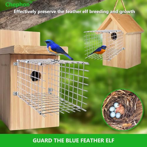 Bluebird House Predator Guards 2 Pcs, Strong Metal Wire Birdhouse Entrance Protector Guard Bird House Protector Guards for Eastern Bluebird Box (Square)