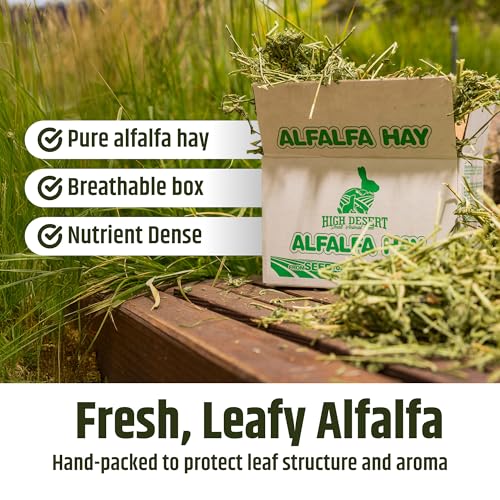 High Desert Alfalfa Hay, Protein Rich Soft Leaf Food for Young Growing Animals, Natural Rabbit Food and Guinea Pig Hay, Supports Digestive Health, Small Pet Supplies, Fresh Hand Packed 5 Lb Box