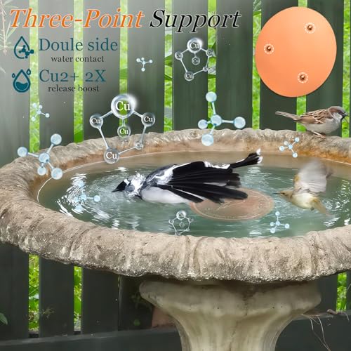 Bird Bath Copper Disk, Copper Disc for Bird Bath 99.99% Pure 0.6 mm Thick with Triple-Point Support for Physical Safe Clean Water for Outdoor Birdbaths Bowl