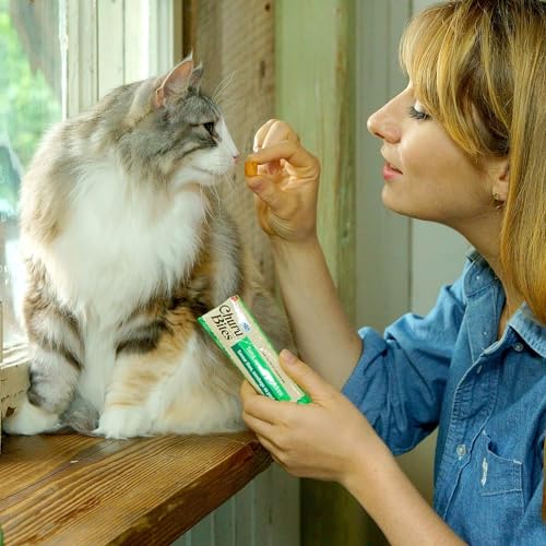 INABA Churu Bites for Cats, Soft Baked Chicken Churu Filled Cat Treats with Green Tea Extract, 0.35 Ounces Each Tube, 12 Tubes Total, 4 Flavor Variety