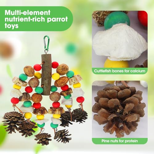 MQUPIN Parrot Toys, Nuts Nutrient-Rich Bird Toys,Natural Wooden Parrot Cage Bite Toy,Chewing Toy Containing Cuttlefish Bones,Pine Cones,Wooden Mangoes and Carambola for African Greys,Cockatoo,Budgie
