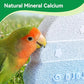 2 Pack Bird Beak Grinding Stone, Parrot Perch for Cage Volcanic Rock Mineral Bird Perch, Parrot Cage Accessories for Parakeets Budgies Cockatiels, Lovebirds Small to Medium Birds