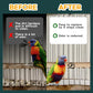 HA SHI Bird Cage Liner - 120 Acid-Free Newsprint Sheets, 31" x 21.5", 5.5 lb - Perfect for Packing, Pet Cages, Non-Toxic & Safe for Birds, Ideal for Crafts, Shipping, Moving