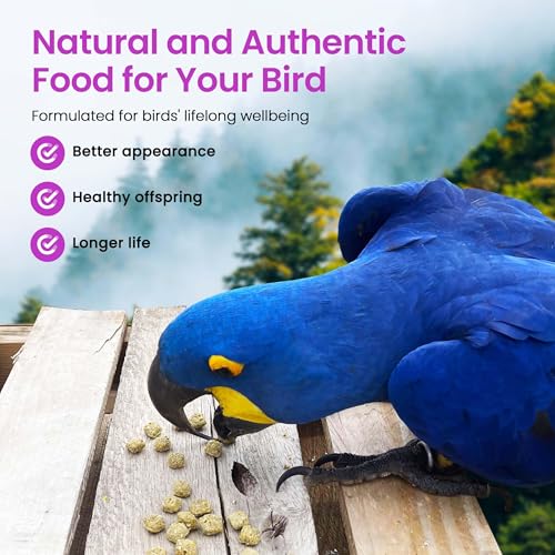 Harrison's Bird Food Power Treats with Red Palm Fruit Oil, 1 lb. 454g