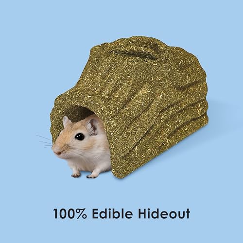 Kaytee Premium Timothy Treat Hideout For Pet Hamsters, Gerbils, and Mice, Small
