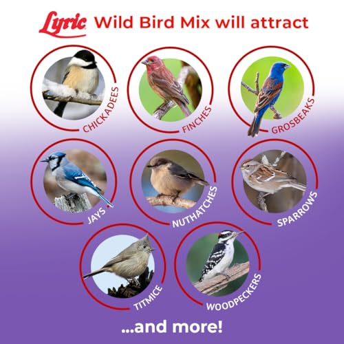 Lyric Wild Bird Mix - Includes Corn, Nuts, and Wild Bird Seed for Outside Feeders, Attracts Doves, Jays and Many More, 20 lb Bag